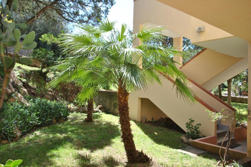 Sa Jaga Brujada Residence - Simar Vacanze Porto Rotondo Dış mekan fotoğraf